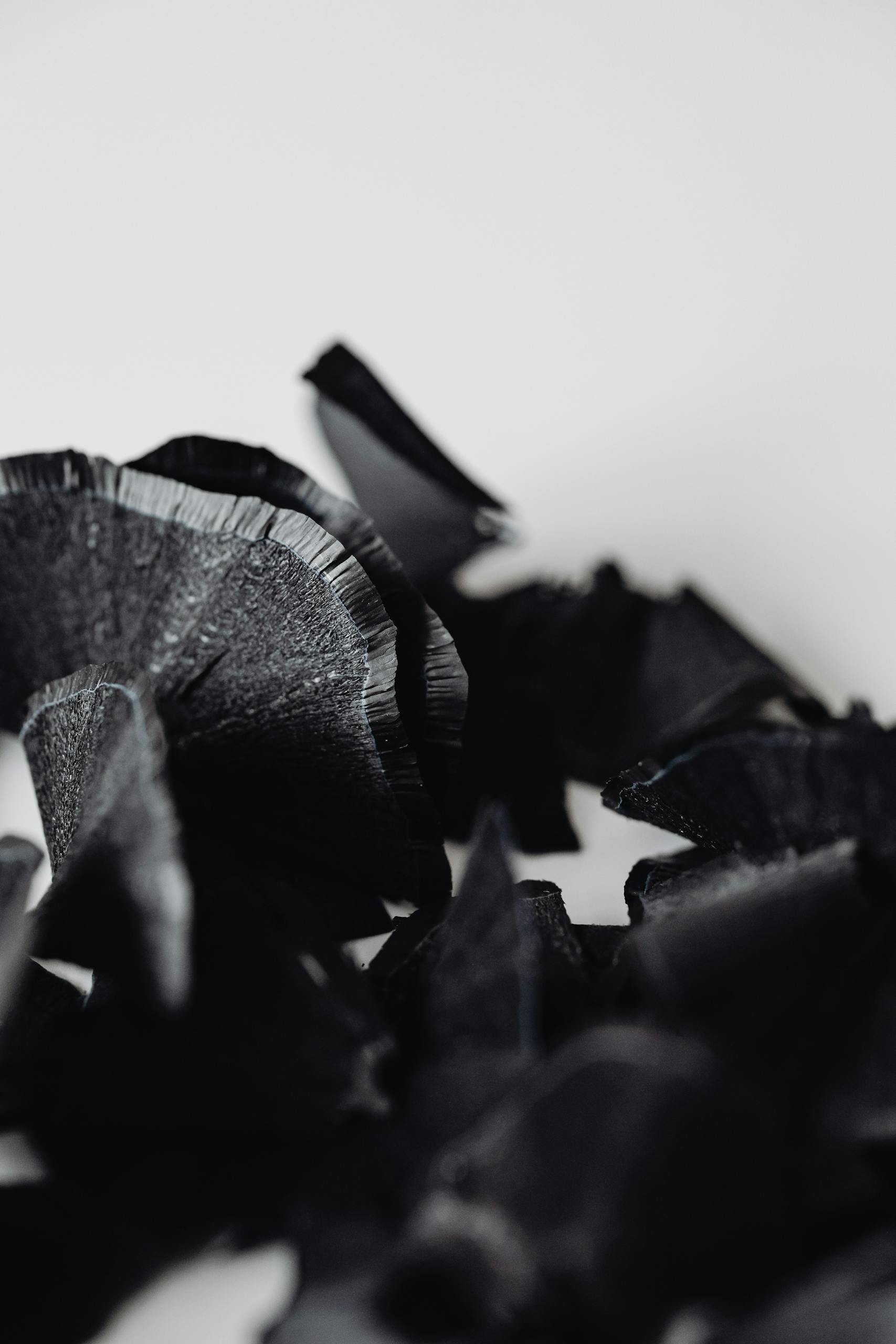 Black Pencil Shavings